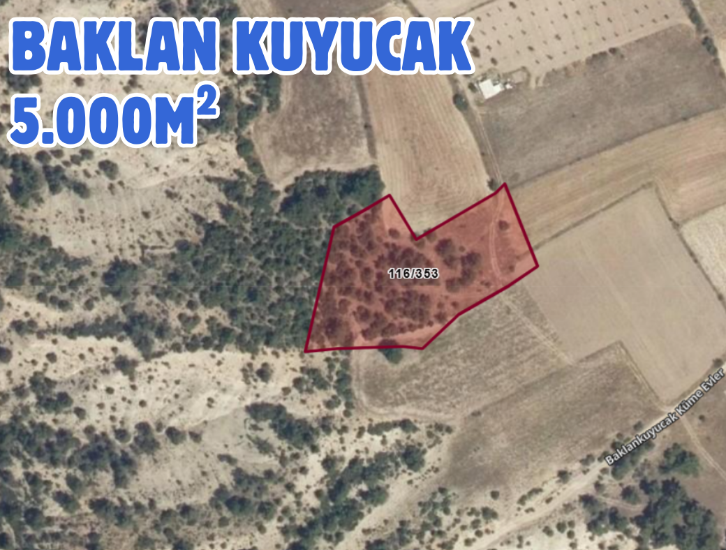 Fotoğraf